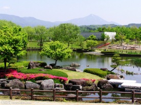 园林景