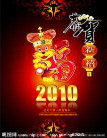 2010虎年