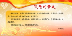 保险的意义