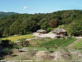 青山脚下