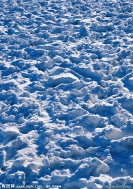 ２０１０年的大雪