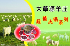羊肉火锅