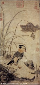 元 张中 荷花鸳鸯图