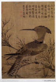 元 赵孟頫 幽簧戴胜图