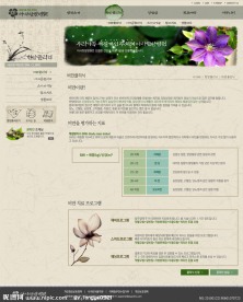 经典韩国精美网页