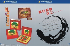 公司画册15 16