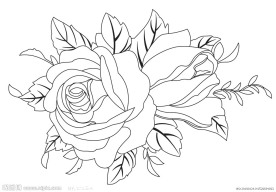 玫瑰花