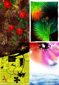 玫瑰野花古旧花纹鱼