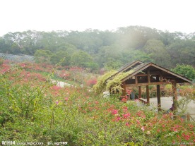 厦门东坪山公园