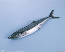 海鱼 鱼类 海洋资源 美味 海鲜