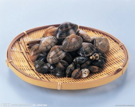 贝类 海洋资源 美味 海鲜