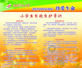 珍爱生命