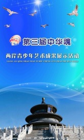 中华魂青少年活动易拉宝