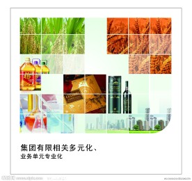 集团 企业 文化 油 大米 小麦 稻谷 房子 红酒