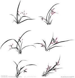 国画 兰花