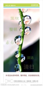 企业挂画