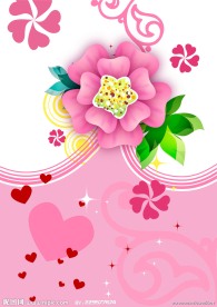 时尚精美矢量花纹