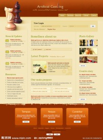 欧美金黄网页模板