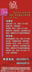招聘展架