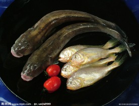 中华美食菜