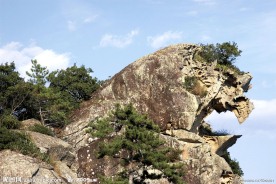 山景