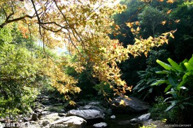 山野风光