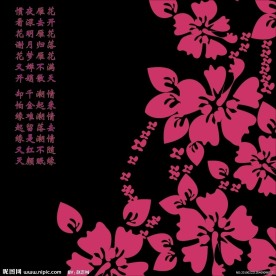 花画册封面