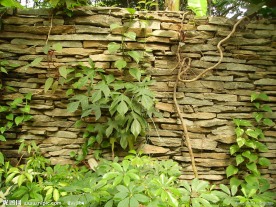 园林 绿化 石墙 装饰墙