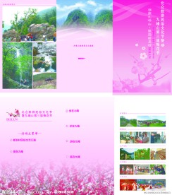 梅花节三折页
