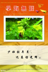 校园文化标语牌