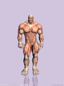 肌肉大力士