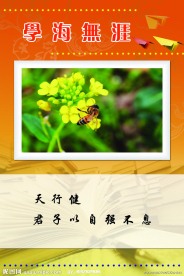 校园文化标语牌