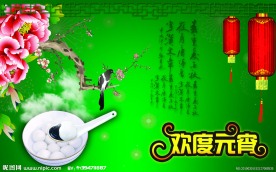 元宵素材 节日素材 元宵 花鸟 灯笼