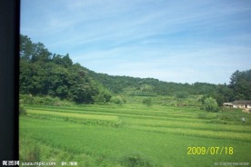 风景草地