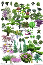 园林景观花草树林鸟瞰透视效果图PSD分层17