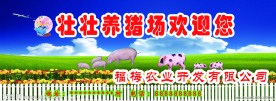 壮壮养猪场广告宣传