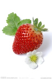 草莓