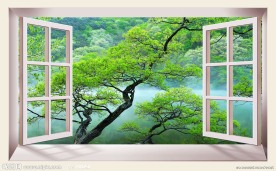 窗外风景