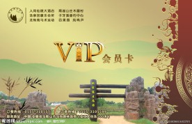 VIP贵宾卡设计模板