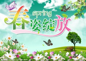 春天 春姿绽放