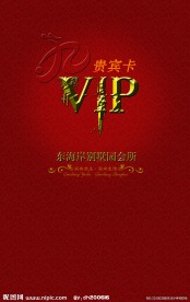 VIP设计