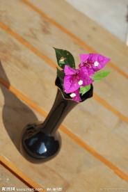 黑釉插花瓶