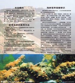 海博公司宣传册封内