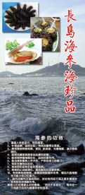 海博公司宣传册