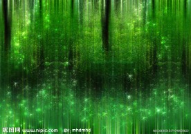梦幻森林背景