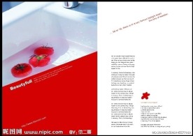 食品画册版式