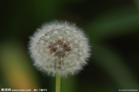 整装待发