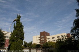 青岛大学