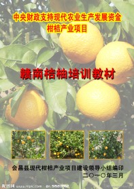 封面设计图片