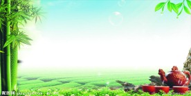 茶背景